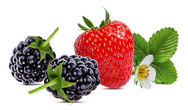 Blackberry y fresa aisladas sobre fondo blanco
 - Foto, Imagen