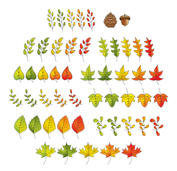 Leaf Set - Vector, Image