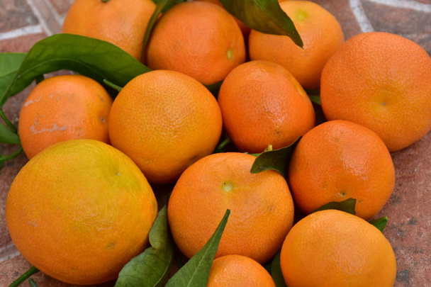 みかんの実とオレンジ - 写真・画像