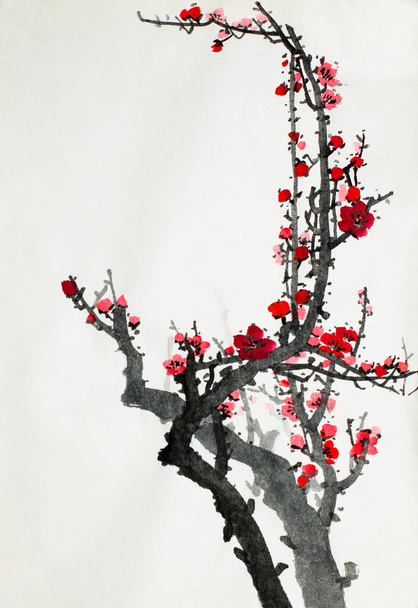 flowering branch of wild plum - Foto, immagini