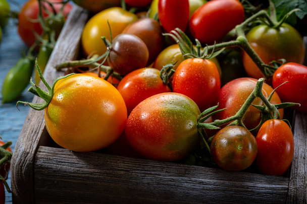 Fresh organic tomatoes set - Foto, immagini