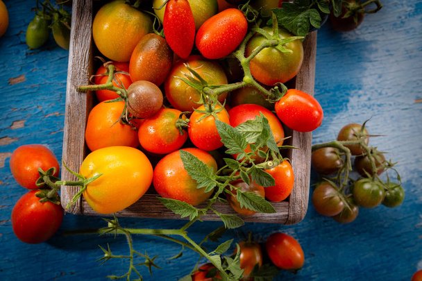 Harvest of fresh tomatoes top view - Foto, Imagem