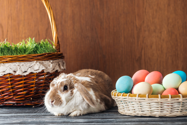 cute rabbit near wicker basket with spring grass and bowl with easter eggs on wooden table - Foto, immagini