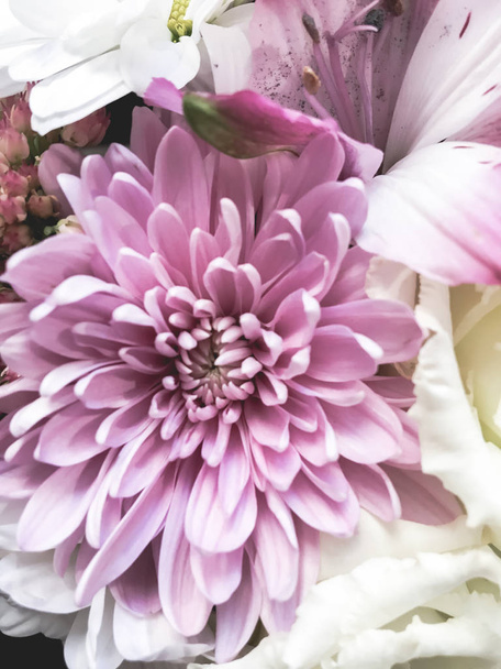Beautiful floral mix background - Фото, зображення