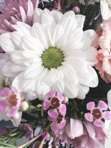 Beautiful floral mix background - Fotoğraf, Görsel