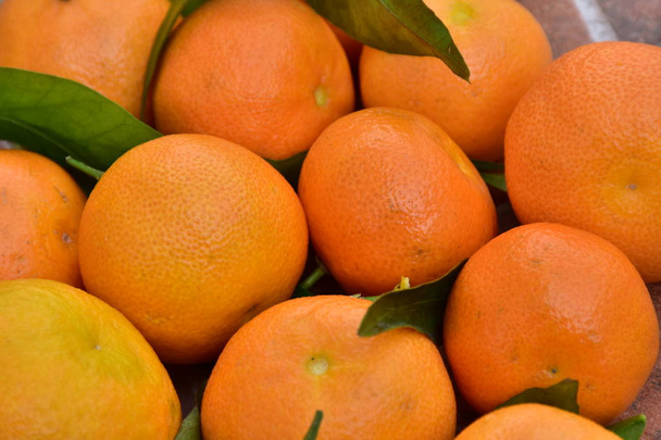 mandarin narancs gyümölcs és narancs - Fotó, kép