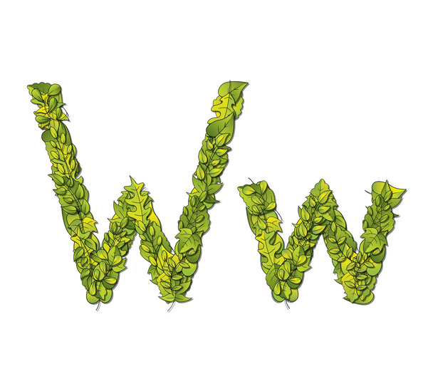 Leaf Font W - Vector, Image