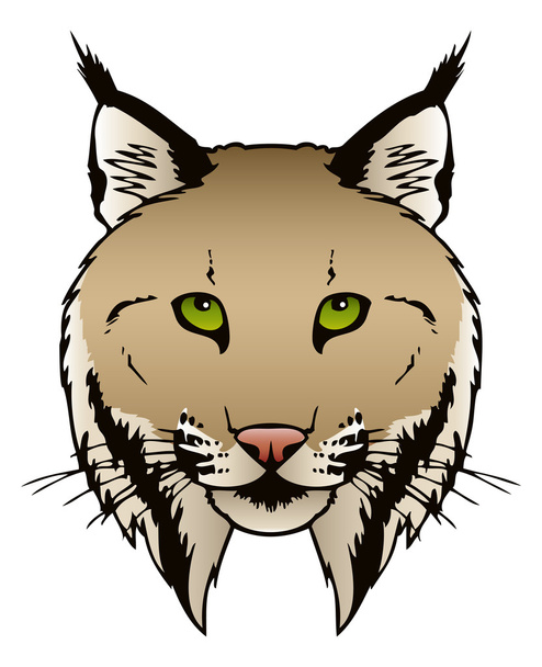 Lynx hlava - Vektor, obrázek
