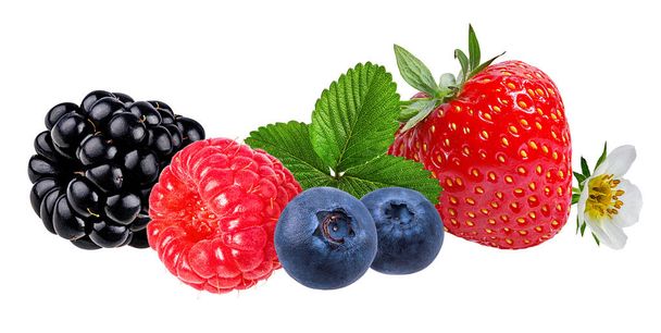 Збір ягід. Малина, полуниця, чорниця, blackberry, ізольовані на білому. - Фото, зображення