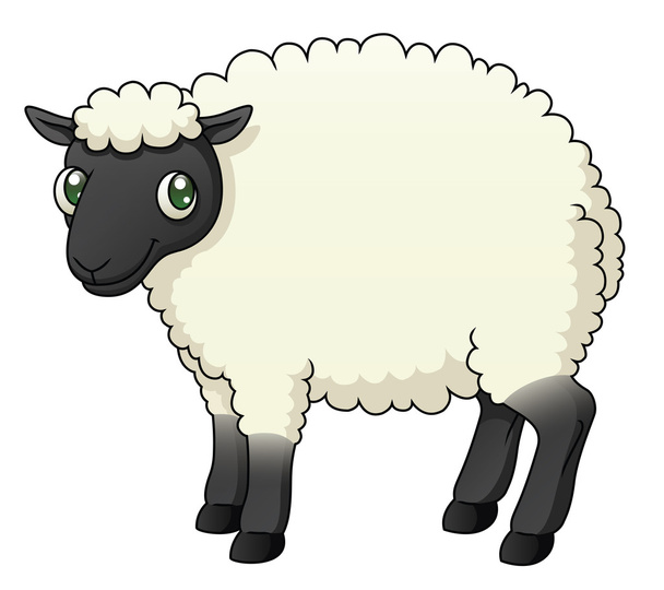 ovce - Vektor, obrázek