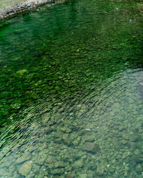 Вода зеленая в прозрачной реке с каменным дном
. - Фото, изображение