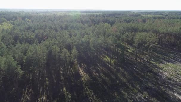 4K aerial of flying over a beautiful green forest in a rural landscape, Ukraine - Video