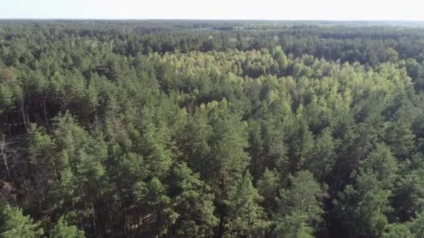 4K aerial of flying over a beautiful green forest in a rural landscape, Ukraine - Materiał filmowy, wideo