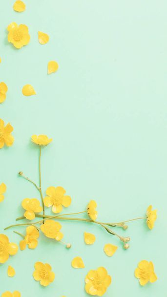 yellow buttercups on green paper background - Fotoğraf, Görsel