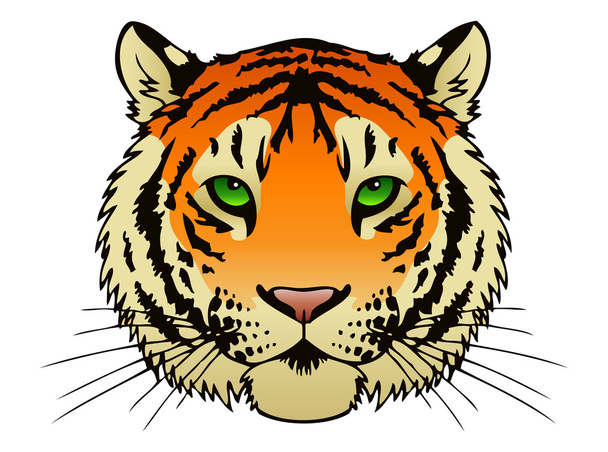 Cara de tigre
 - Vector, Imagen