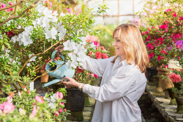 Beautiful woman watering plants and gardening in greenhouse. - Zdjęcie, obraz