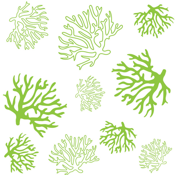 美しいサンゴのパターン図 - ベクター画像
