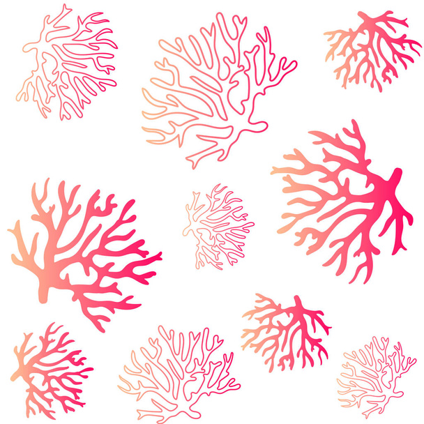 beautiful coral pattern illustration - Vector, Image