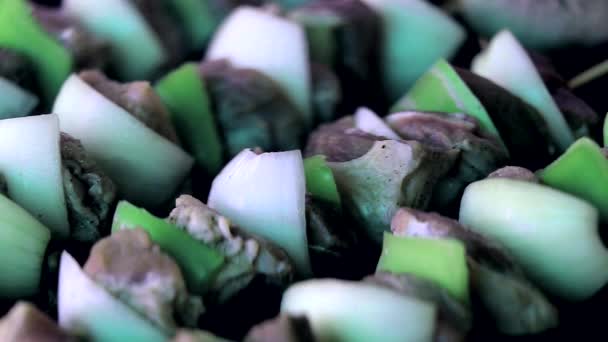 Ψήσιμο φρέσκο κρέας και λαχανικά για το closeup Γκριλ - Πλάνα, βίντεο
