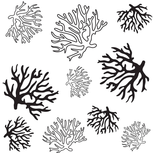 gyönyörű Korall minta illusztráció - Vektor, kép