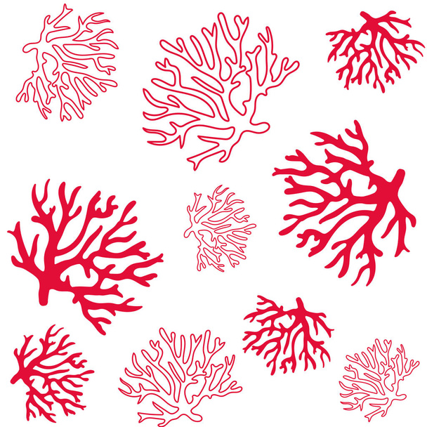 美しいサンゴのパターン図 - ベクター画像