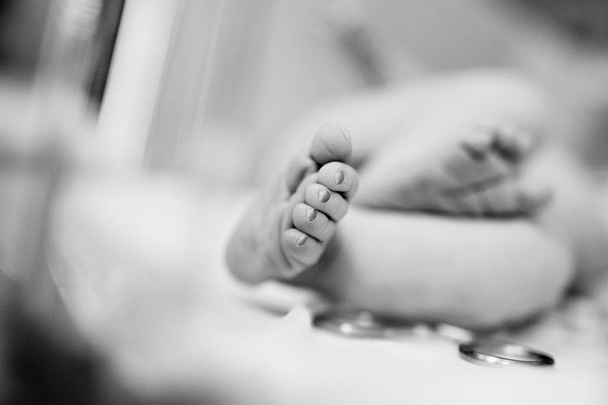 Fingers on the legs of a newborn baby - Photo, Image