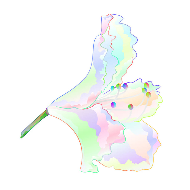  Ormangülü ışık renkli çiçek Dağı çalı beyaz arka plan vintage vektör çizim düzenlenebilir el berabere üzerinde - Vektör, Görsel