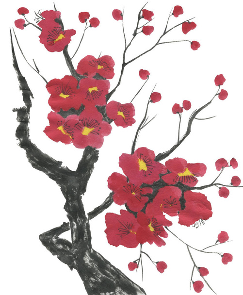 A branch of a blossoming sakura. Pink and red stylized flowers of plum mei and  wild cherry . Watercolor and ink illustration of tree in style sumi-e, go-hua,  u-sin. Oriental traditional painting. - Foto, Imagem