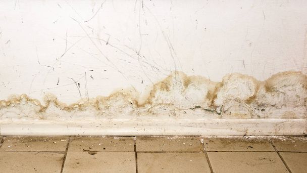 Grandes manchas húmedas y moho negro en la pared de la habitación de la casa doméstica después de fuertes lluvias y mucha agua
 - Foto, Imagen