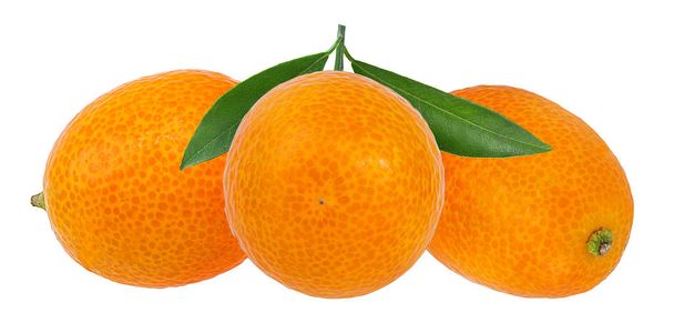 Kumquat isoliert auf weißem Hintergrund - Foto, Bild