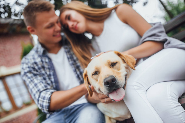 Young family stroking dog, focus on foreground - Foto, Bild