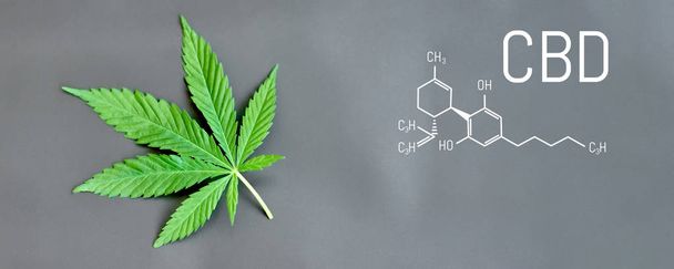 CBD cannabis formula. CBD oil cannabis extract, medical hemp con - Photo, Image