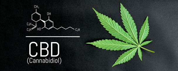 CBD formule de cannabis. CBD huile extrait de cannabis, chanvre médical con
 - Photo, image