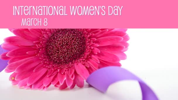 Międzynarodowy Dzień kobiet, 8 marca, fioletowy wstążki z tekstem animowanym. - Materiał filmowy, wideo