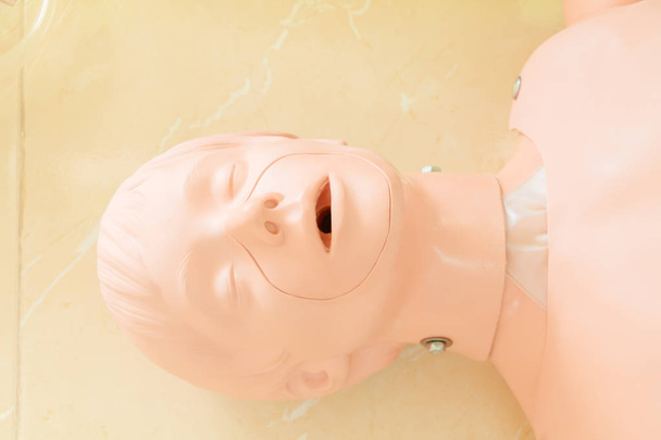 mannequin de tête dans la formation cpr actualisation d'urgence médicale
 - Photo, image