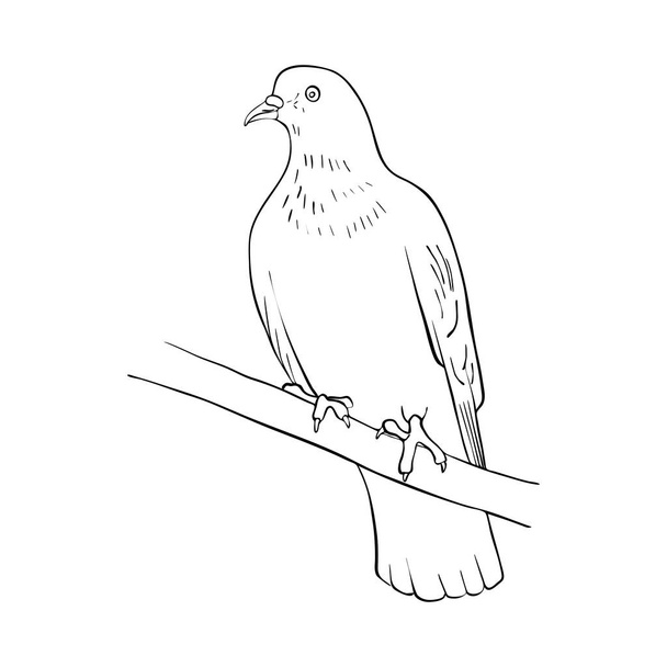 bird at tree branch - Vektor, Bild
