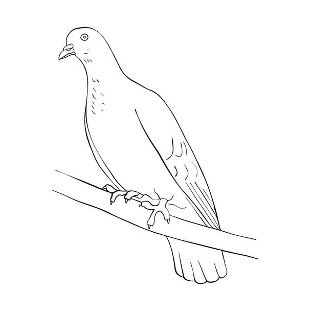 bird at tree branch - Вектор, зображення