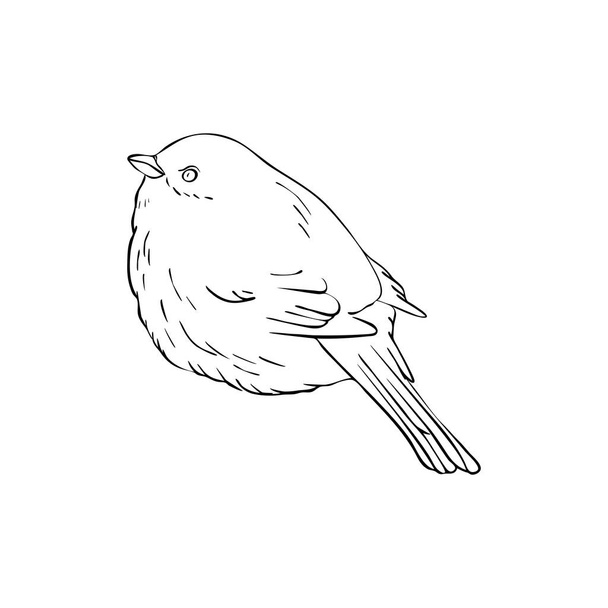 bird at tree branch - Vektör, Görsel
