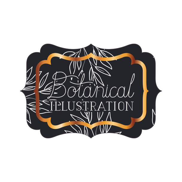 botanical illustration label with plants - Vector, Image