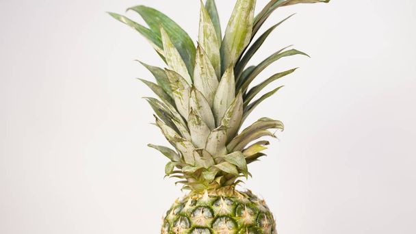 Pineapple isolated on white background. Space for text - 写真・画像