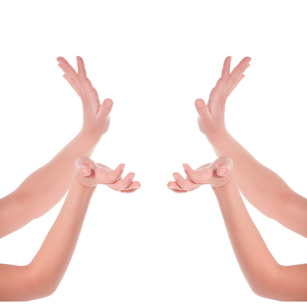 Menschliche Geste. vier Hände, die etwas halten. isoliert auf weiß - Foto, Bild