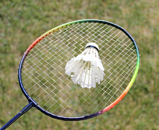 badminton shuttlecocks on racket - Фото, зображення