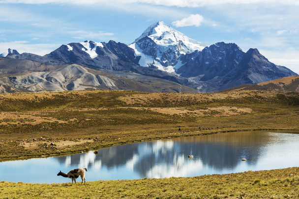 Bolivya'daki dağlar - Fotoğraf, Görsel