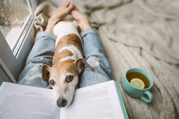 Reading at home with pet. Cozy home weekend with interesting book, dog and hot tea. Beige and blue. Chilling mood - Foto, imagen