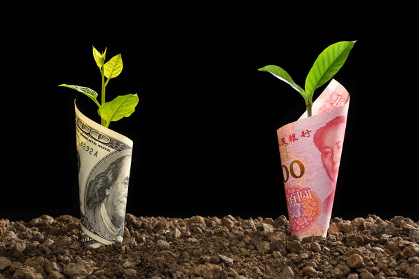 Imagen del billete de China Yuan y el billete de dólar estadounidense con planta creciendo en la parte superior para los negocios, el ahorro, el crecimiento, el concepto económico en el fondo negro
 - Foto, Imagen