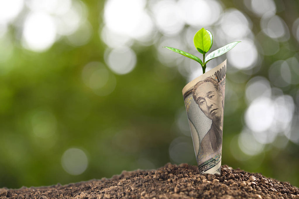  Imagem da nota de iene japonês com planta crescendo no topo para negócios, economia, crescimento, conceito econômico
 - Foto, Imagem