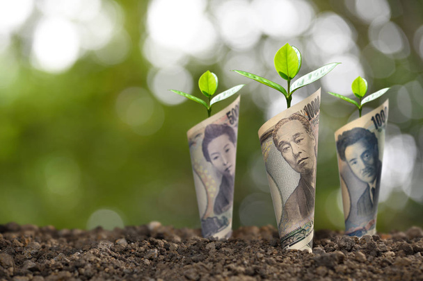  ビジネス、節約、成長、経済概念の上に育つ植物と日本円紙幣のイメージ - 写真・画像