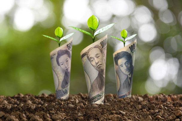  İş, kaydetme, büyüme, ekonomik kavram için üstte büyüyen bitki ile Japon yen banknot görüntüsü - Fotoğraf, Görsel