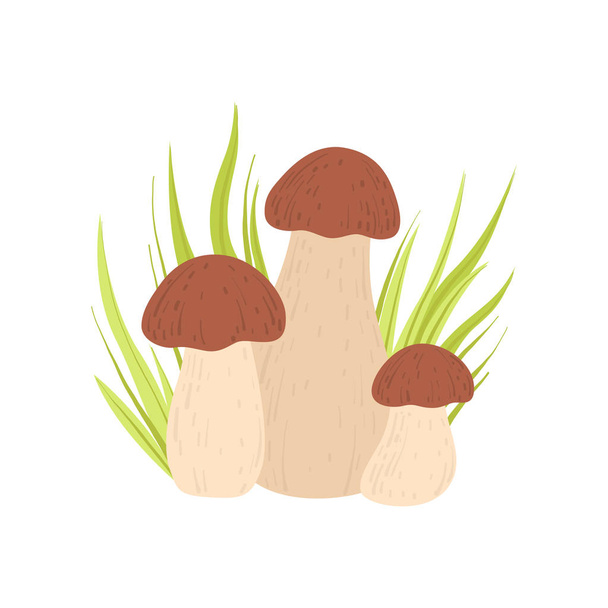 Forest Porcini Edible Mushroom and Growing Grass, Wild Organic Product Vector Illustration - Vector, imagen