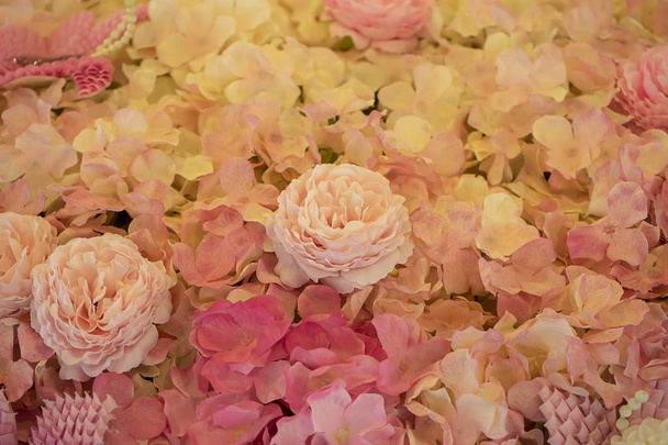 Fond fleur rose - Photo, image